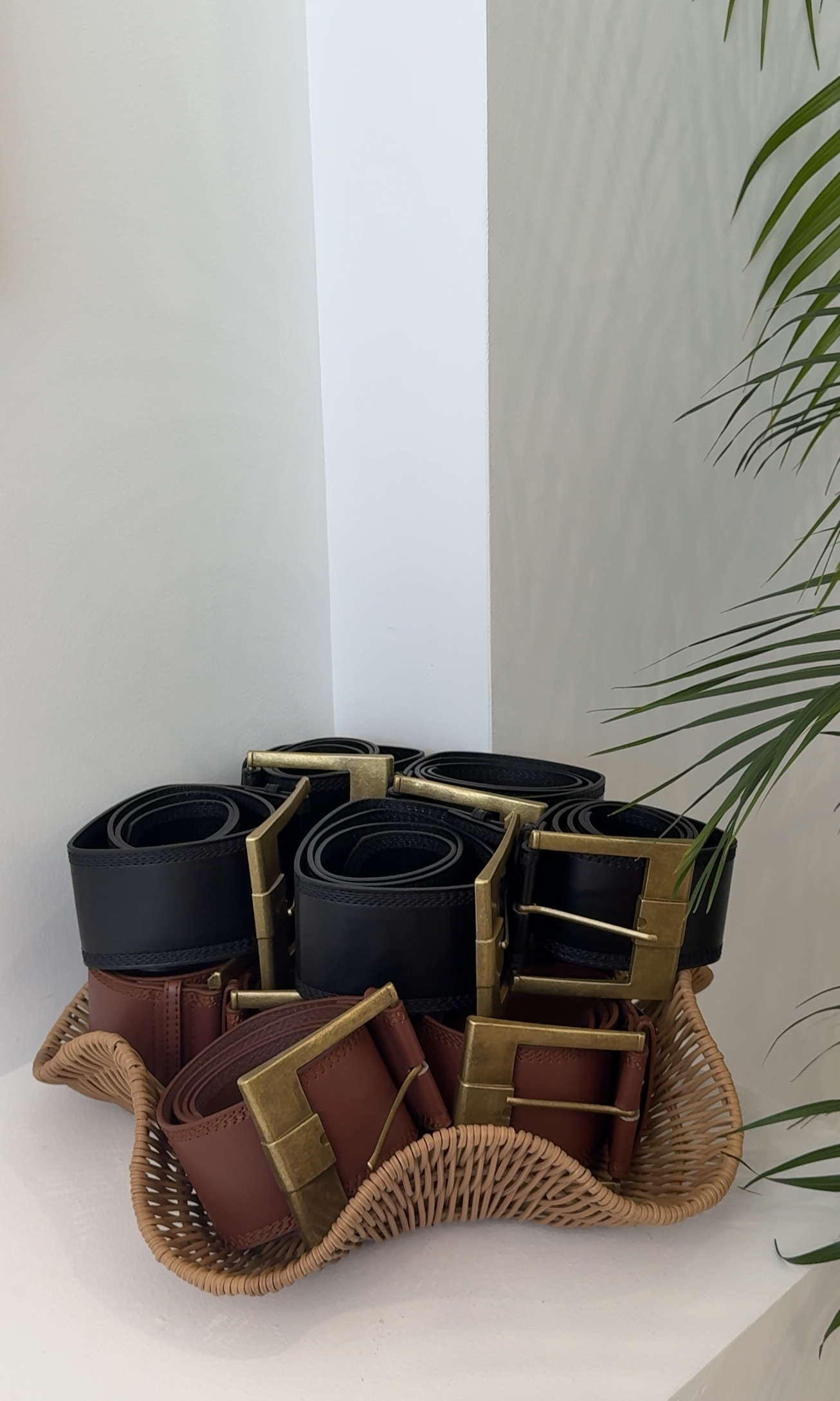Wide Belt